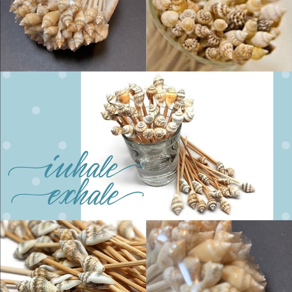 Tiny Natural Seashell Cocktail Toothpick 101pc Set